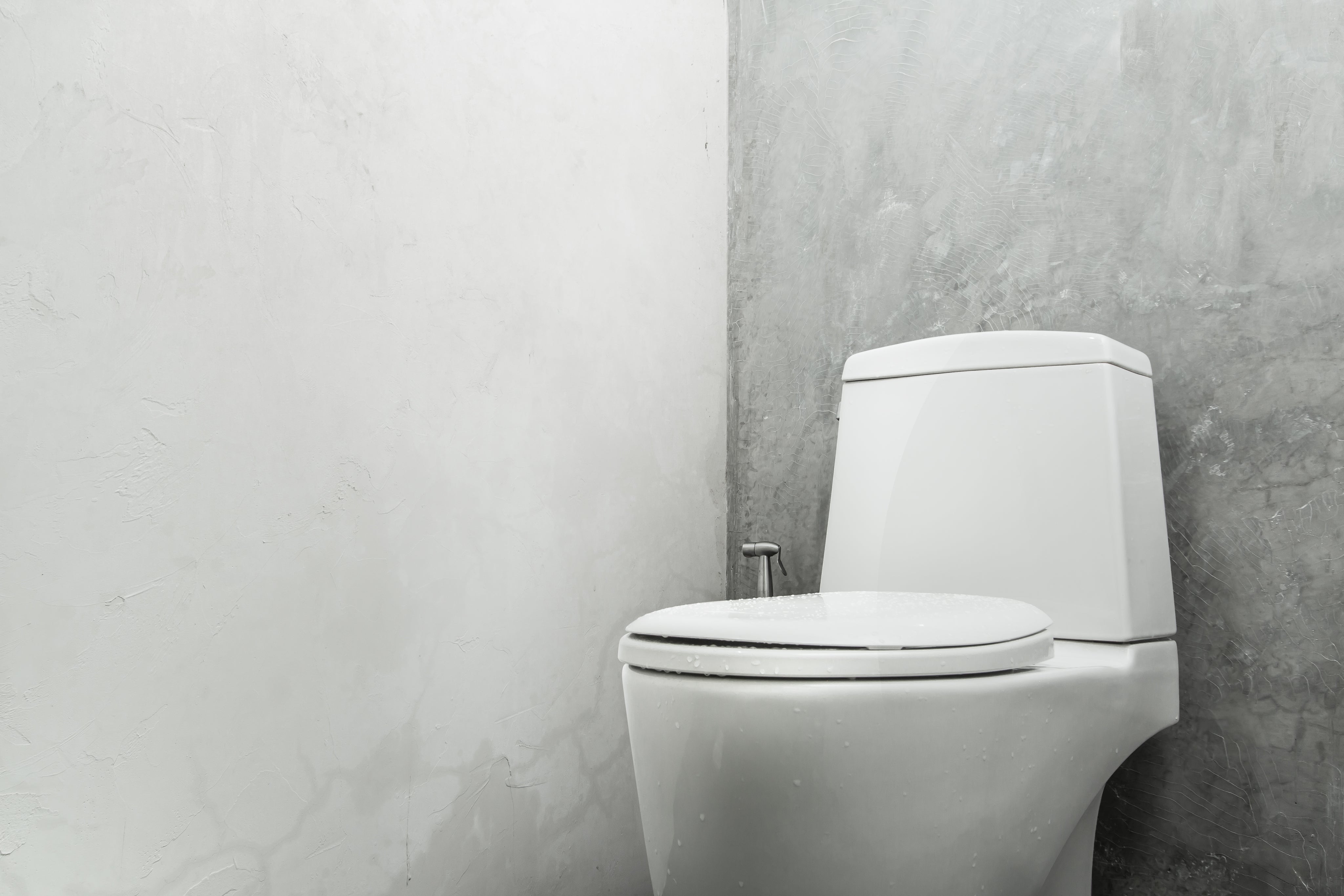 toilet schoongemaakt